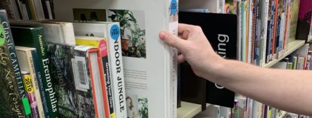 Photo of person taking book off of bookshelf