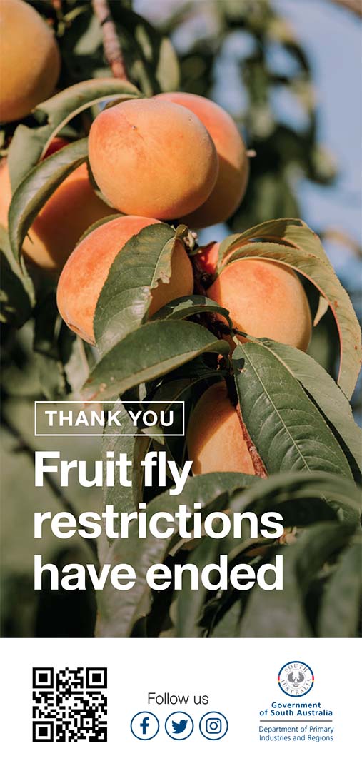 Thank you. Fruit fly restrictions have ended. Government of South Australia Department of Primary Industries and Regions.