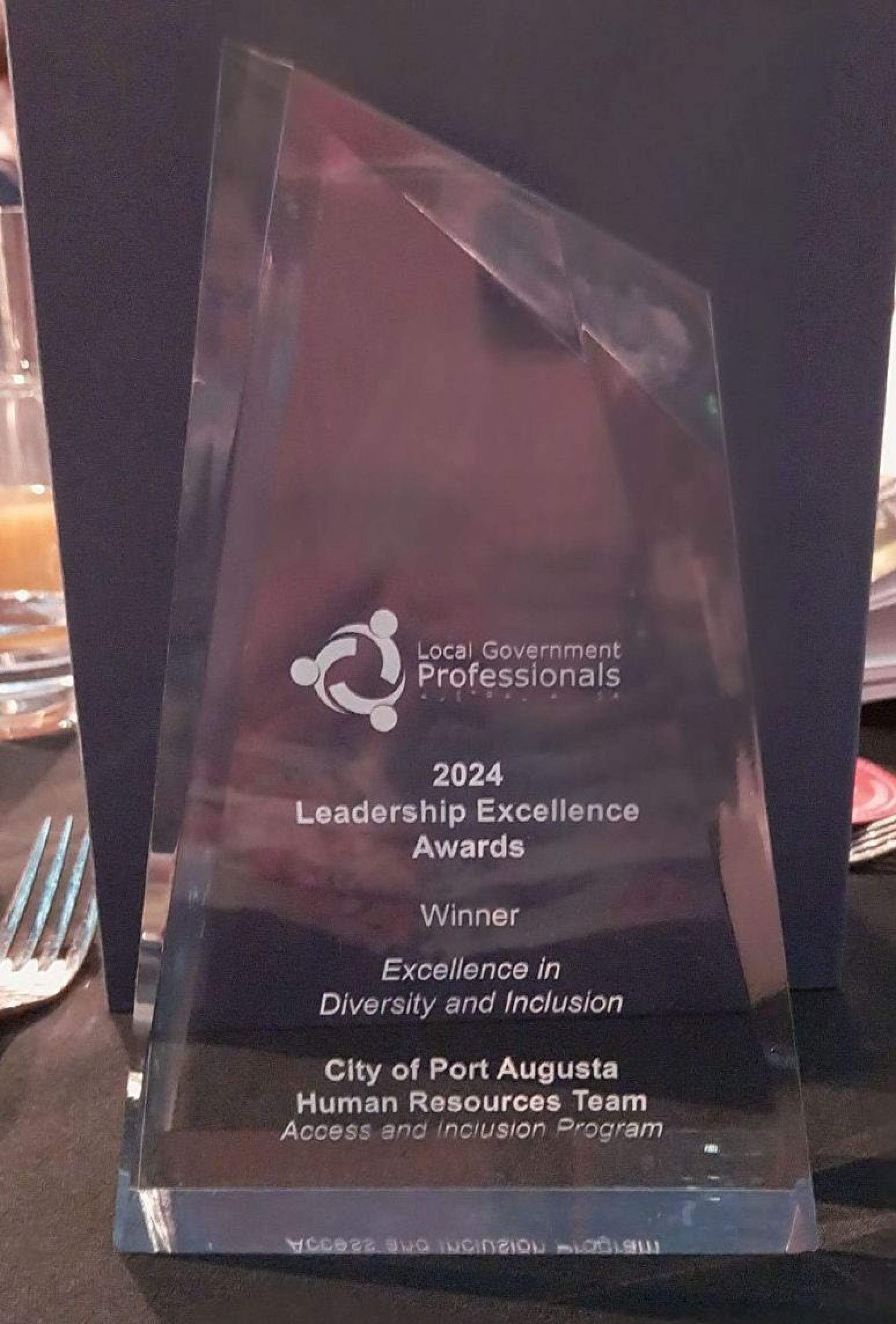 Leadership Excellence Award