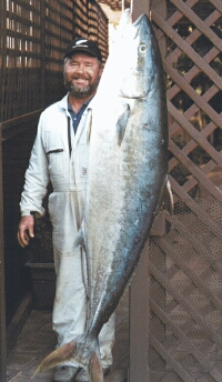 Yellow Tail with Man