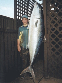 Yellow Tail with Boy